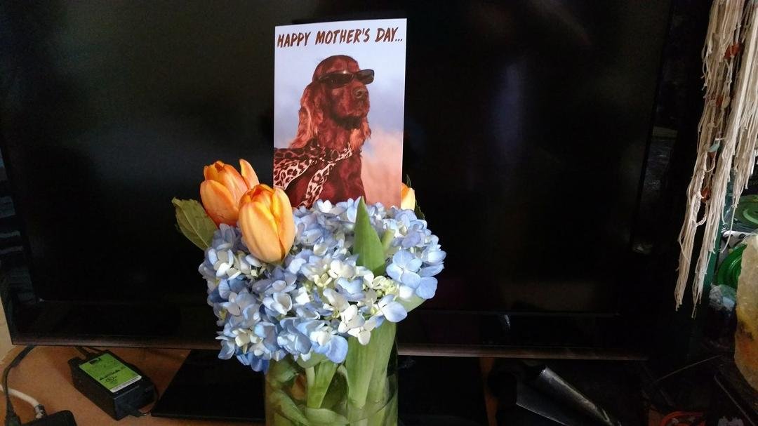 From the bestest friend and daughter. Luv you, Cynthia Cynthia Green Pettee! Oh, and the best doggie ever... Penny!!