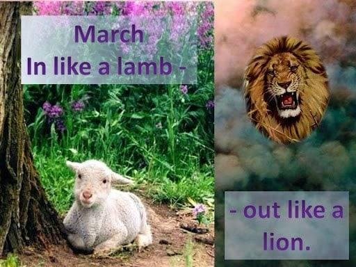 Trema Lund's album, Timeline photos