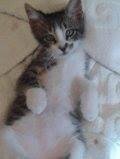 Ariel Shimondle's album, Timeline Photos