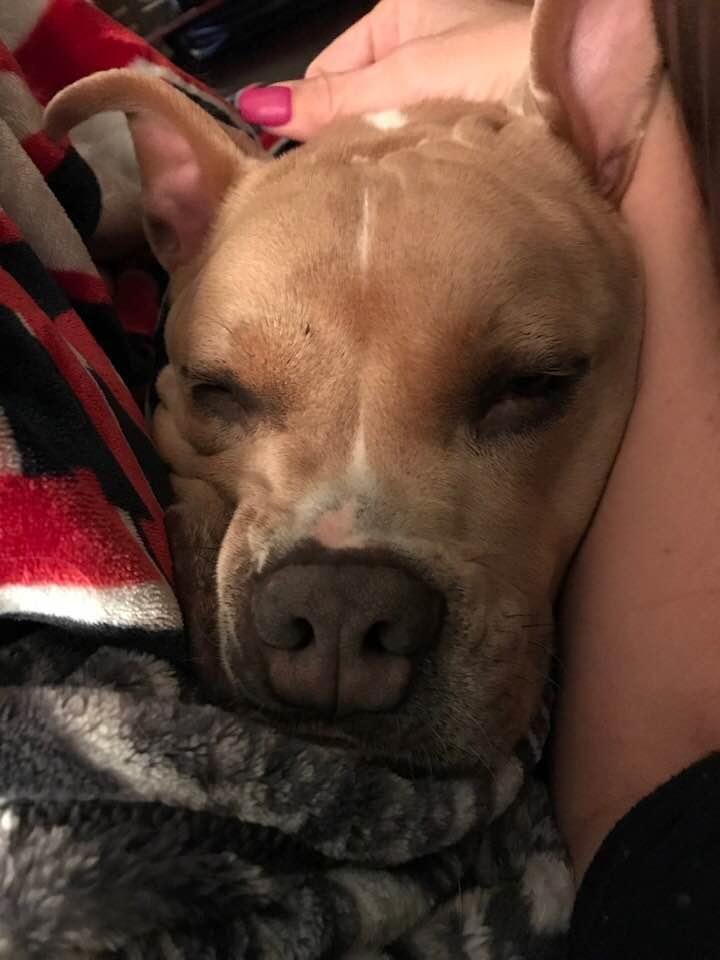He loves me!! Knows I’m not feeling good so he is comforting me.