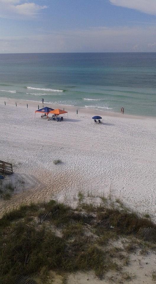Excuse the Auburn tent. Gag!