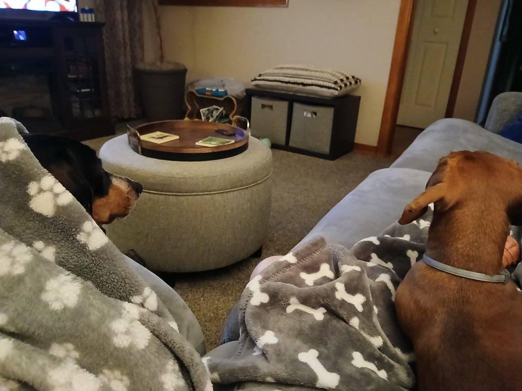 Who do you watch hockey with?