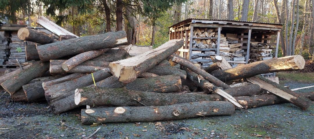 Thomas Hahn's album, Timeline photos