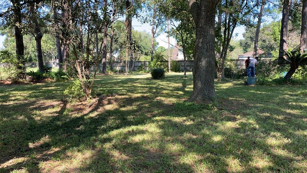 Post Hurricane Lawn Cleanup