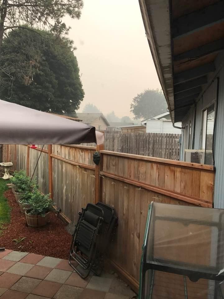 The view out my kitchen door. No, it's not cloudy. That is smoke. Air quality in Springfield is in the "Extremely Unhealthy" range. There are so many fires raging in western Oregon right now. Yesterday, an Emergency Alert r
