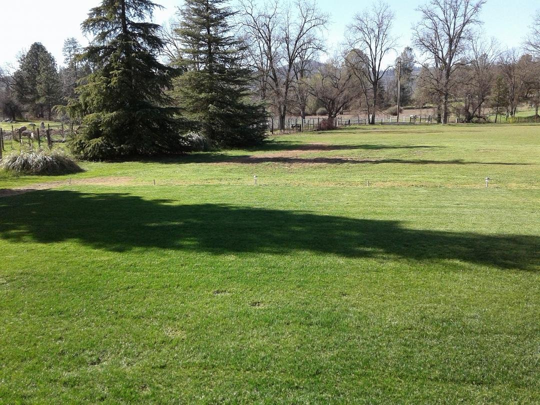 Beautiful day in my yard!!!