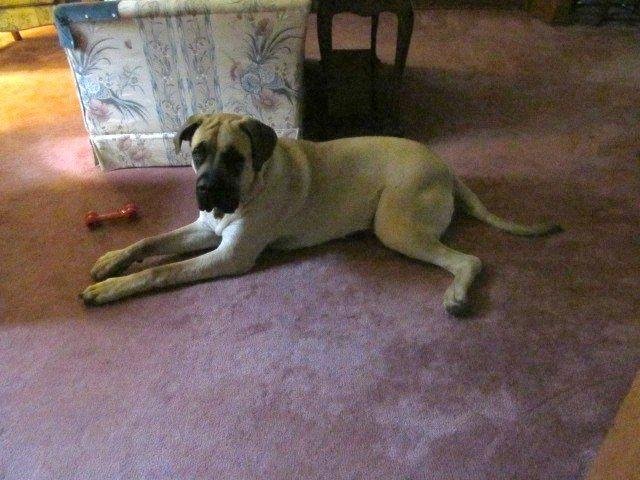 Joyce Lindamood's album, Timeline Photos