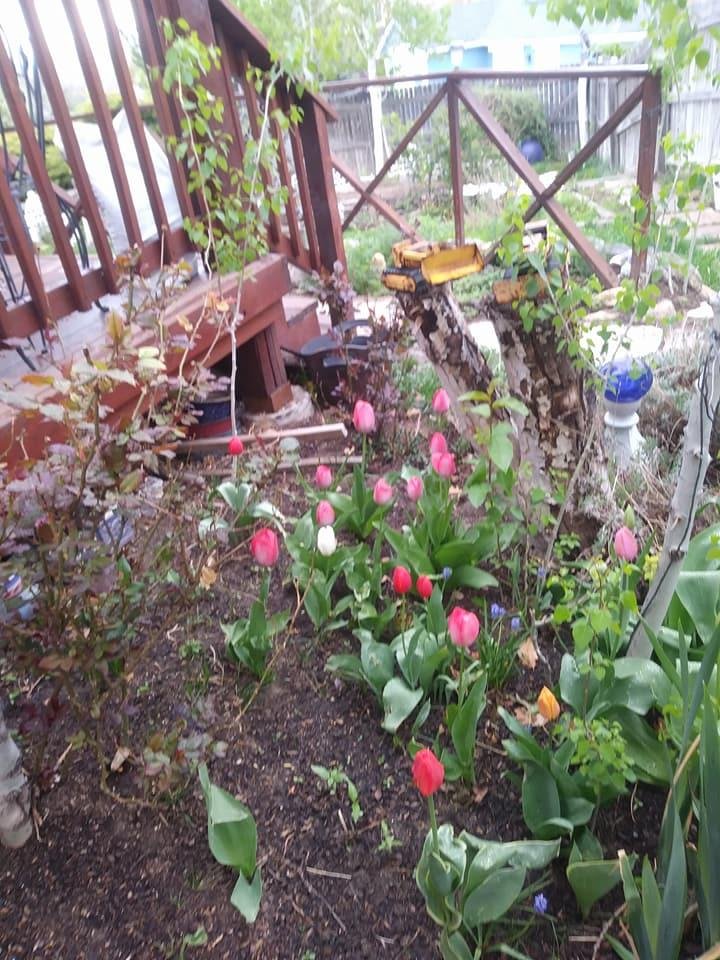Deborah Ortega's album, Timeline Photos