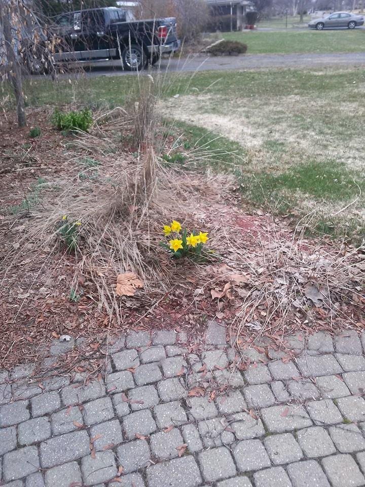 Spring has sprung