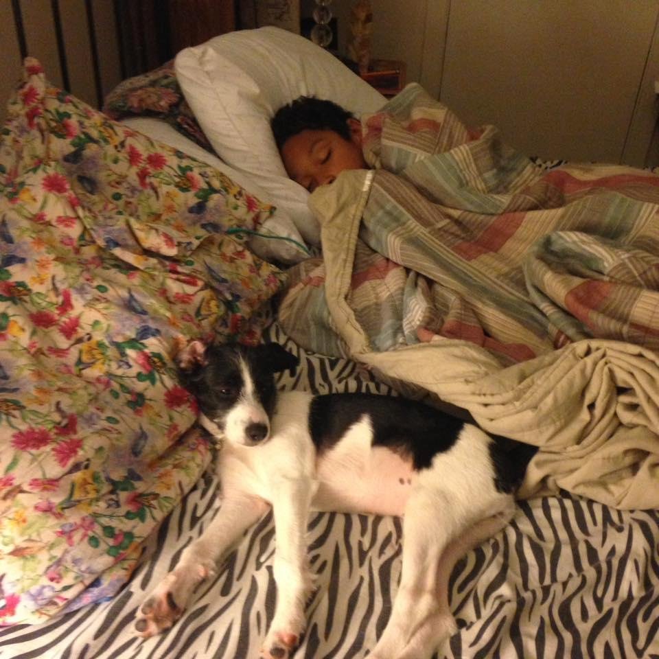 So hard to get up when everyone looks so comfortable!