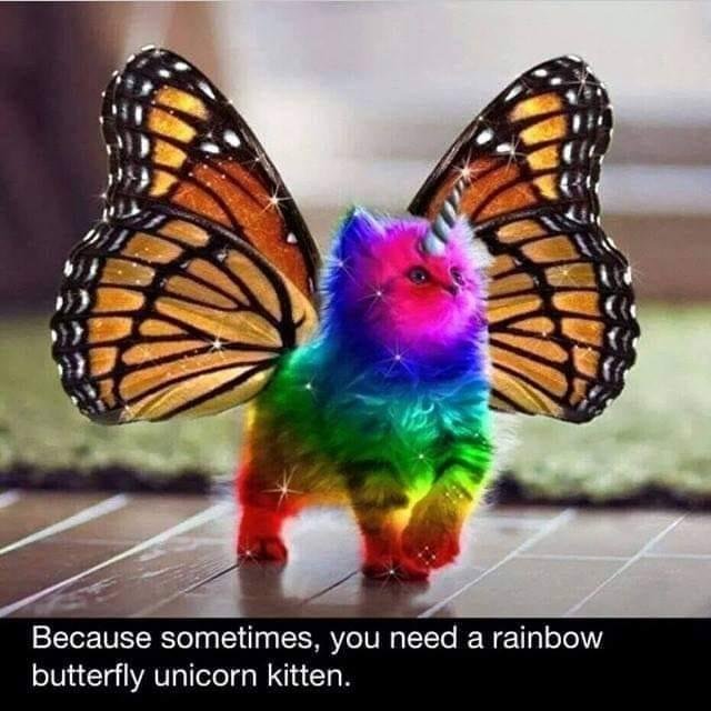 Beverly Shepherd's album, Timeline Photos
