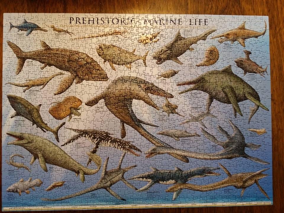 Finished the last puzzle of the year.