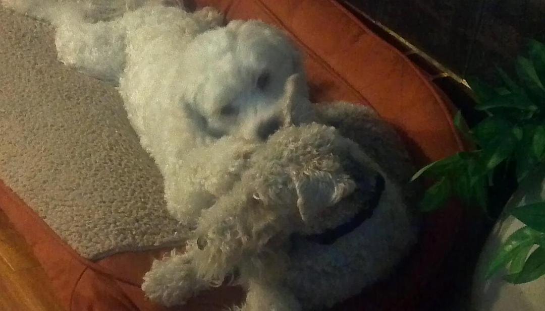 Let me get that ear for you.