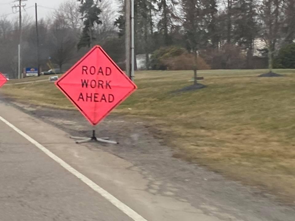 First sign of Spring