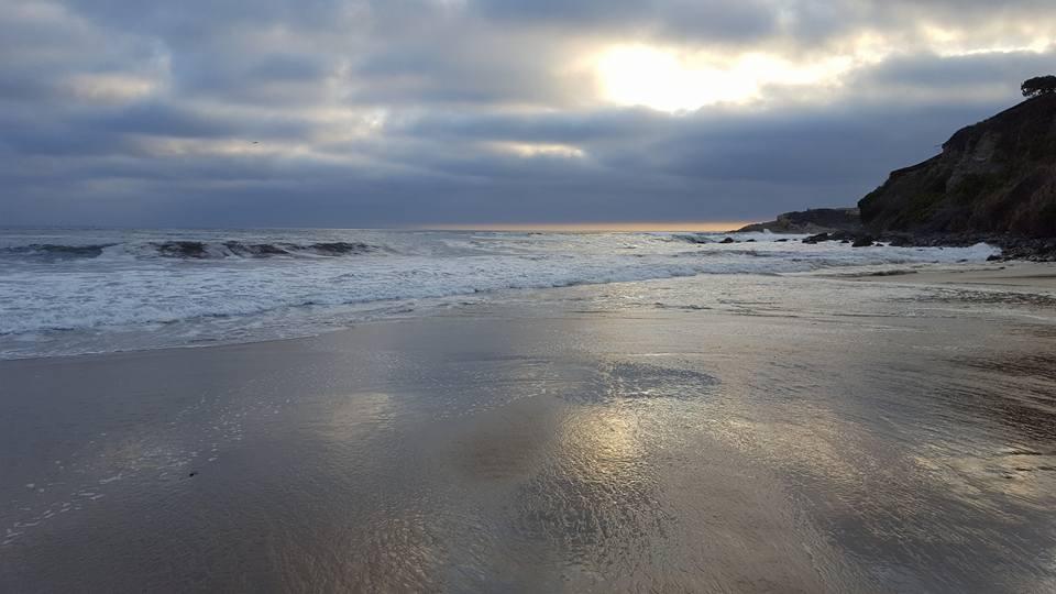 Steve Lee's album, Mobile uploads