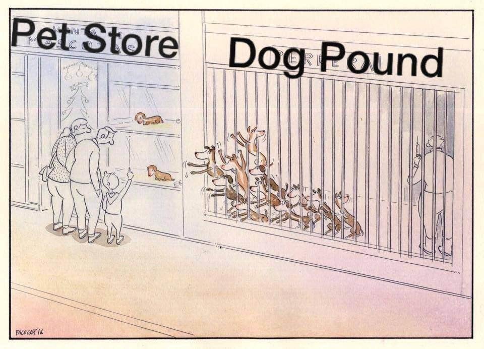 😓