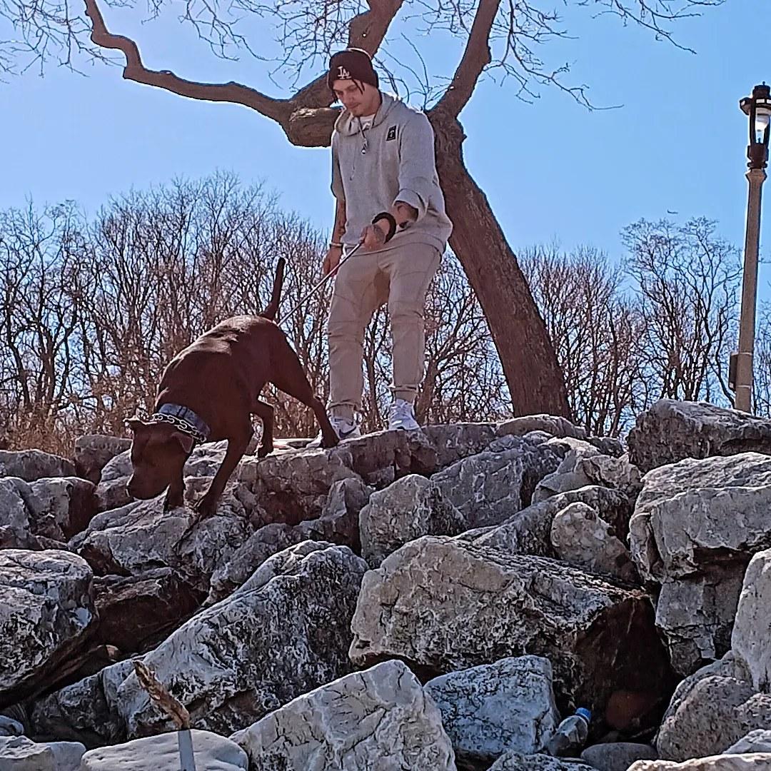 Rocky road walk 2 fame.