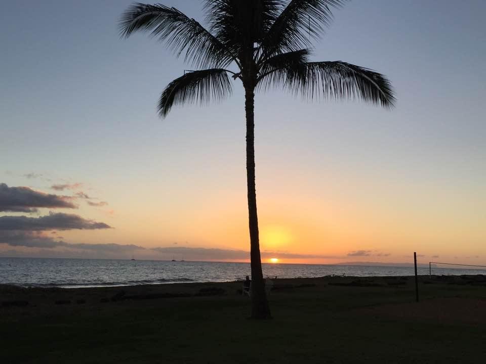 Tom Moon's album, Timeline Photos