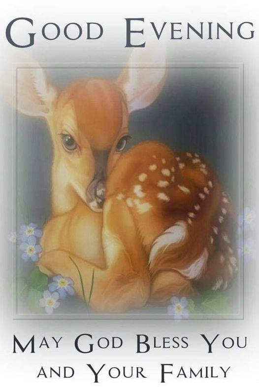 Frederick Lindley's album, Timeline Photos