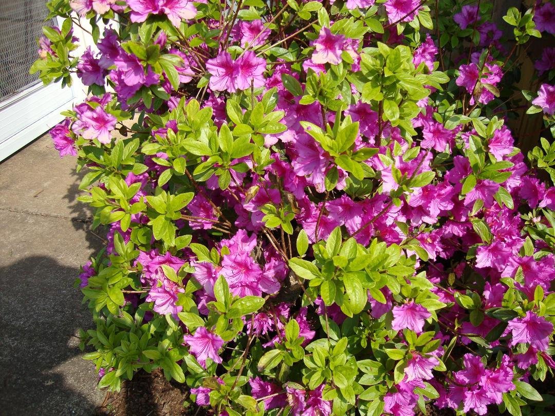 Bette Lysinger's album, Timeline Photos