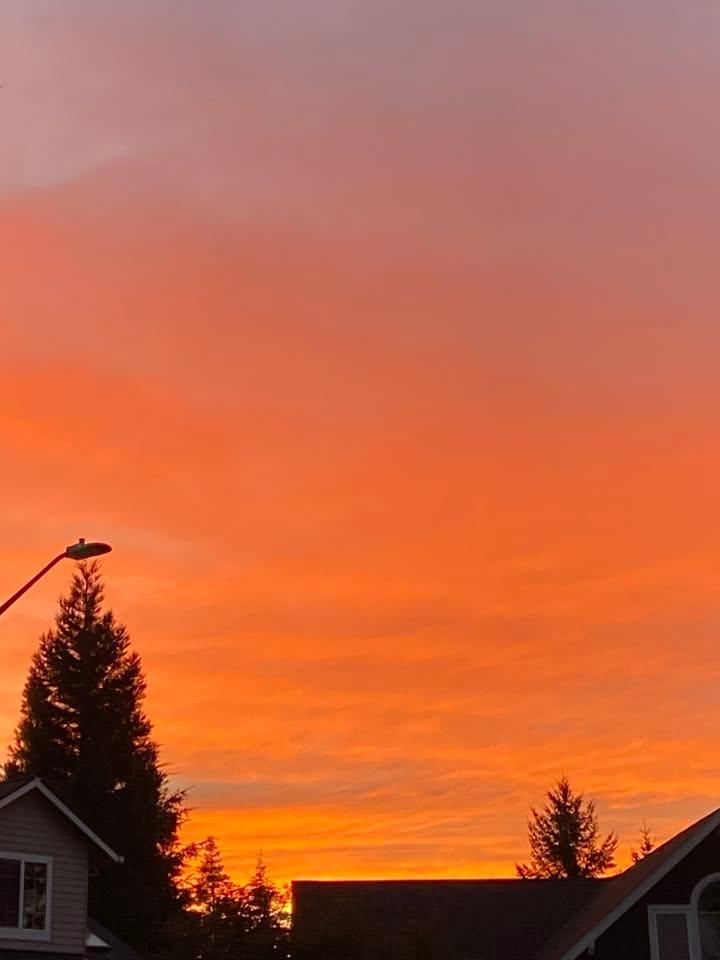 Tamalee Person's album, Mobile uploads