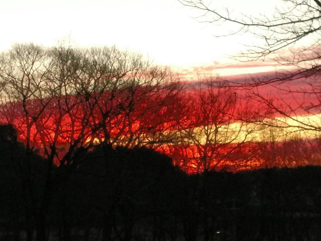 Good Morning out my window, 7:05 this morning :-)