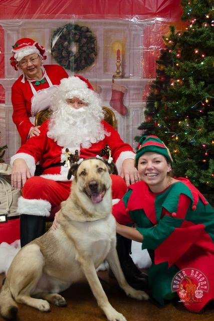 Geri and I wish y'all a very happy holiday. So does Gus. Ho, ho, ho.
