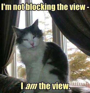 Robert Meyer's album, Timeline photos