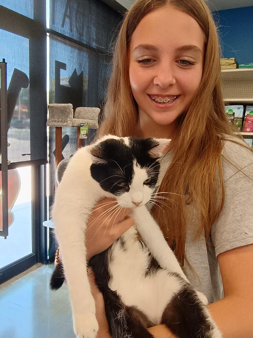 Salt and Pepper has found her forever home and she's ready to go with her new sister. She's a LAPP kitty adopted from Chuck & Don's today.