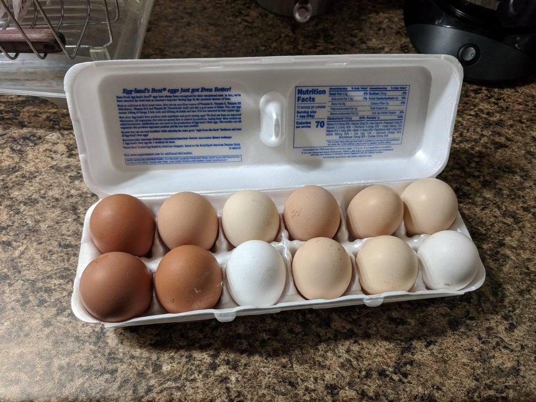 Neighbor gave us eggs, never had fresh eggs.... So excited, I was hoping for baby chicks, but she said no. What an awesome friend Denise Morrison Everett, love it. Thank you