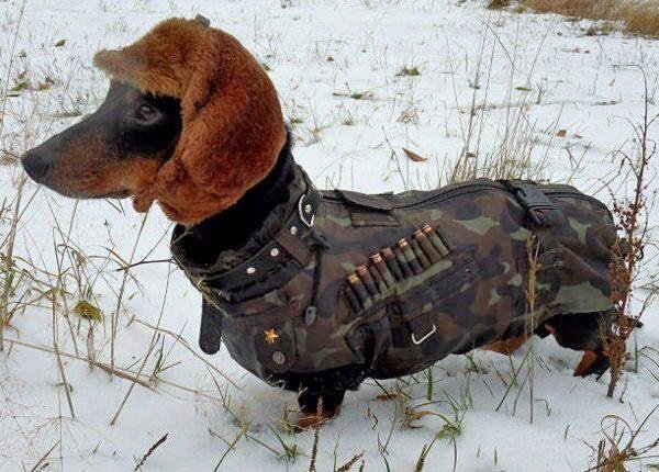 Can't wait for hunting
 season to open