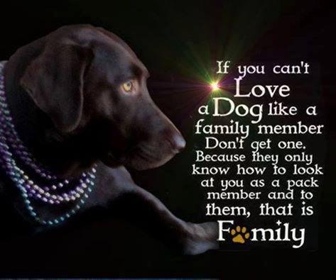 David Higgins' album, Timeline photos