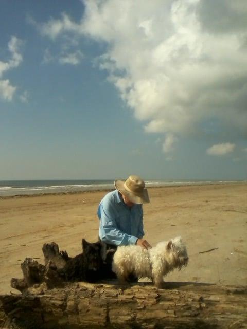 Dewey Goff tries to tell Cody, our hospice Westie, that the water is the other way, while Rascal snuggles in a hollow, looking for cheese from the photographer.