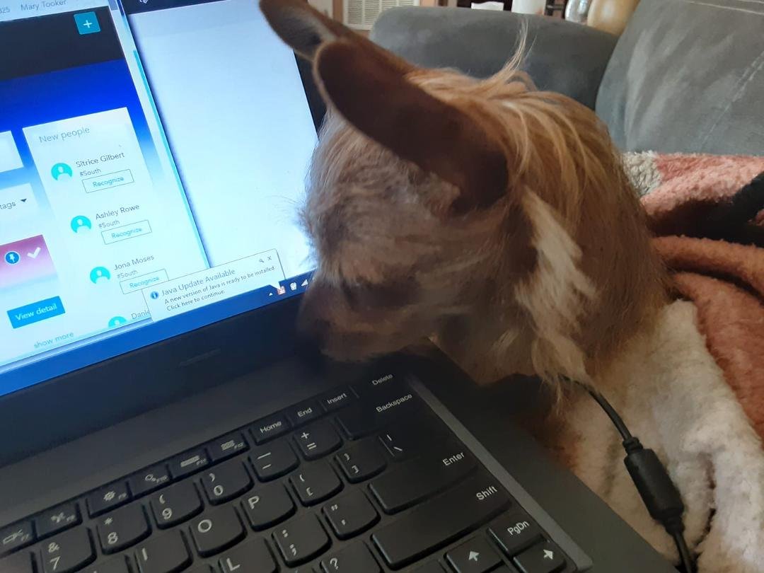 My co worker making sure my work is done right