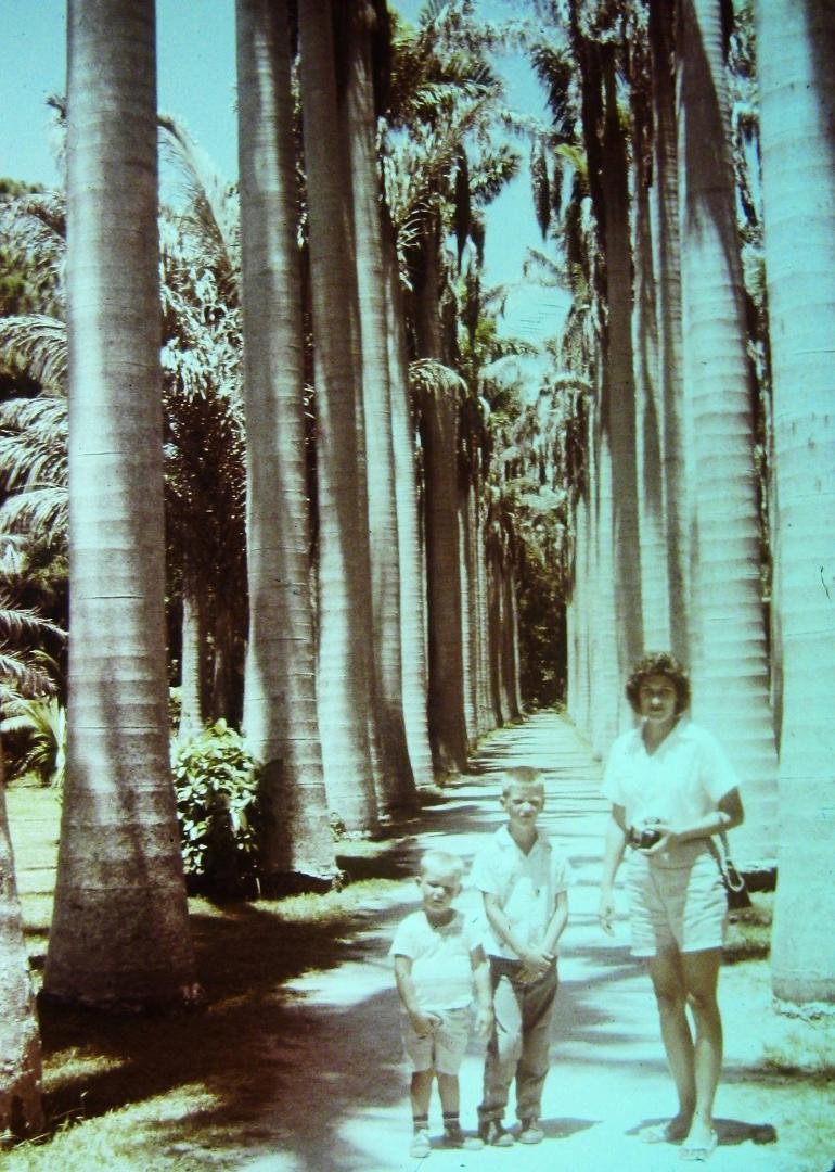 Throwback Thursday  --  When we moved to Florida in 1957, me, brother Doug and Mom.