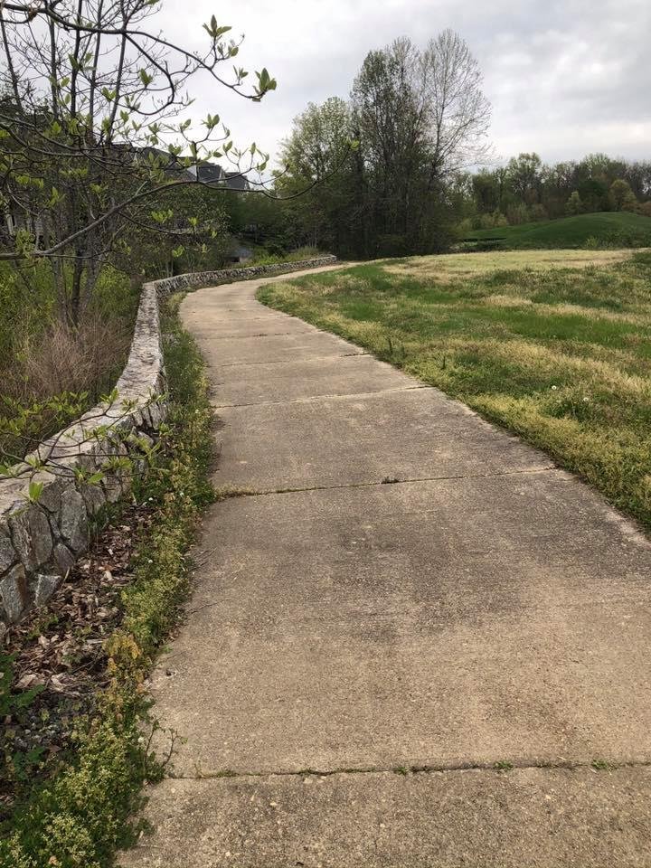 Another captivating winding path through heaven on earth ....