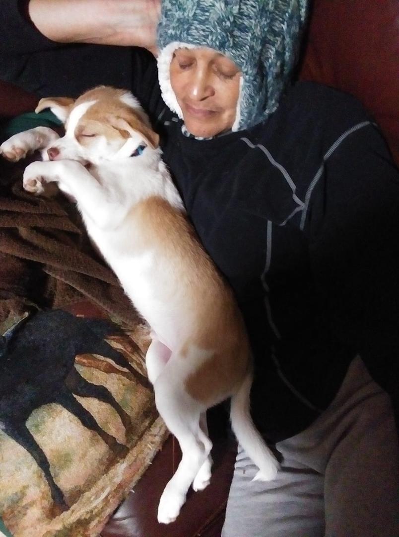 Sleepy heads.
