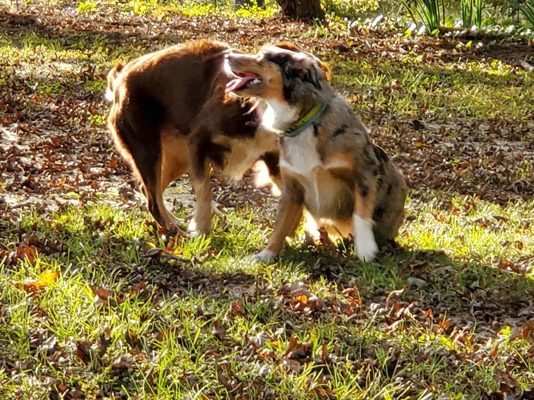 thor and zoi