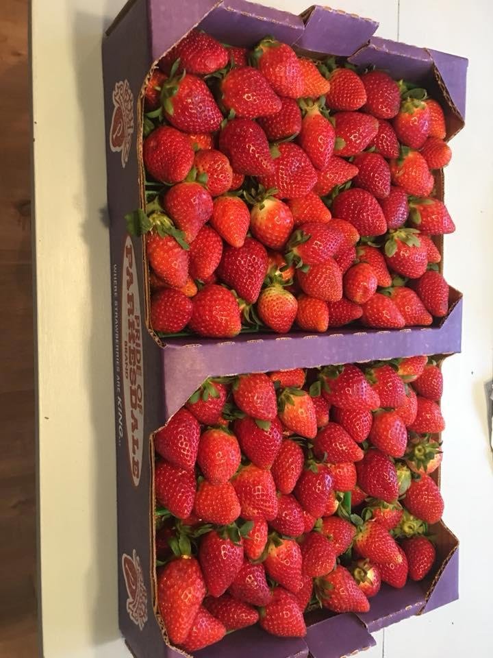 Our first flat of Plant City Strawberries from Parksdale Market - they are sweet!