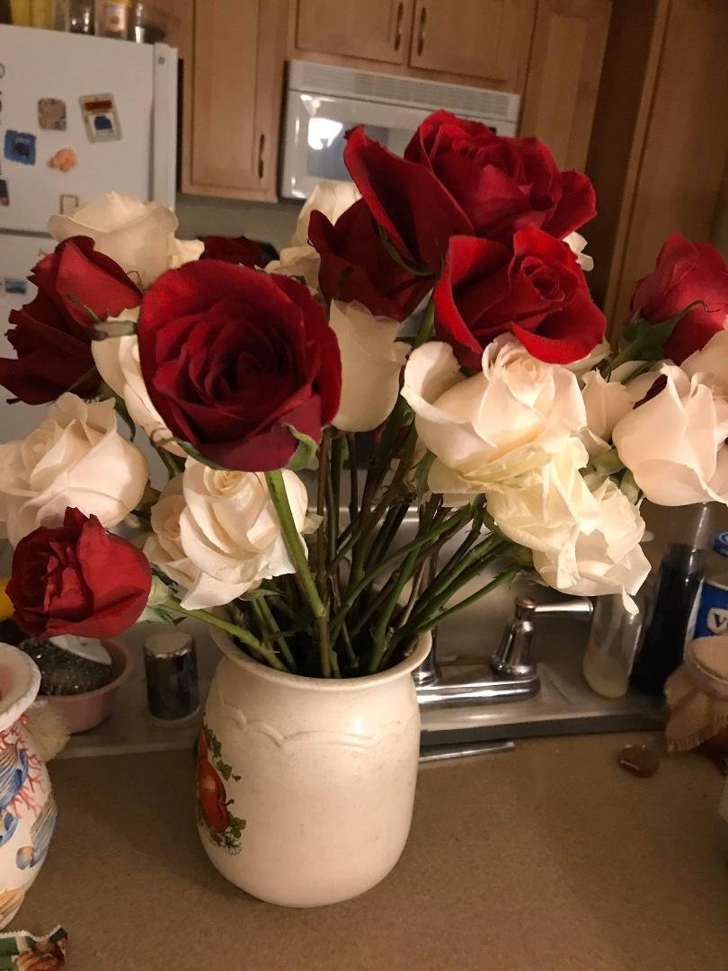 Elizabeth Rambo's album, Mobile uploads