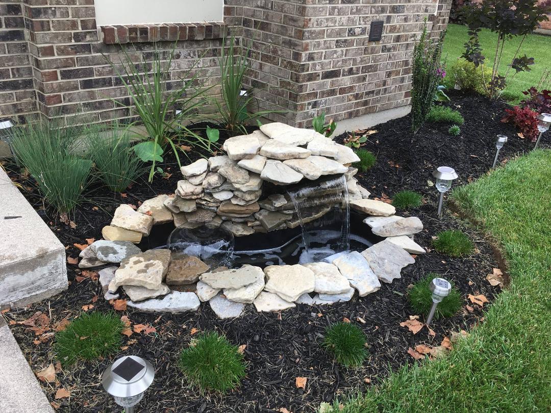 My new pond.