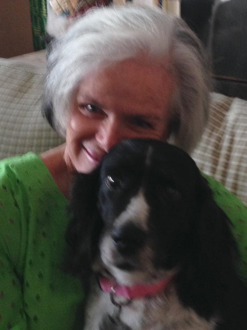 Suzanne Schutz's album, Mobile Uploads
