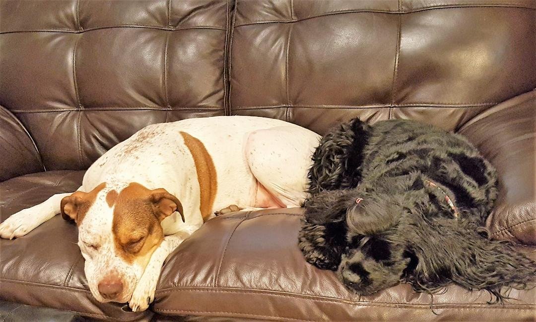 Kick'n back. Nap time.