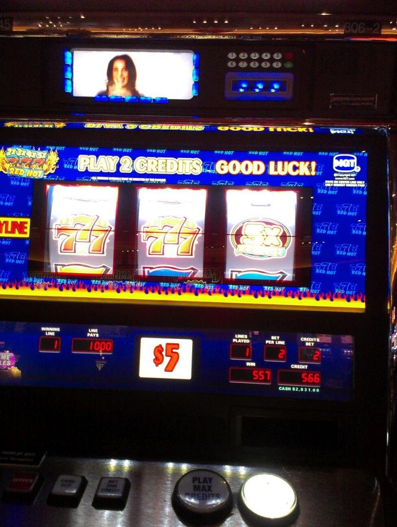 Big Winner!!!!!