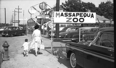 boy does that bring back memories  I cut through their to go to school remember the monkey mountain. Berner High School 1962 after school I work there.