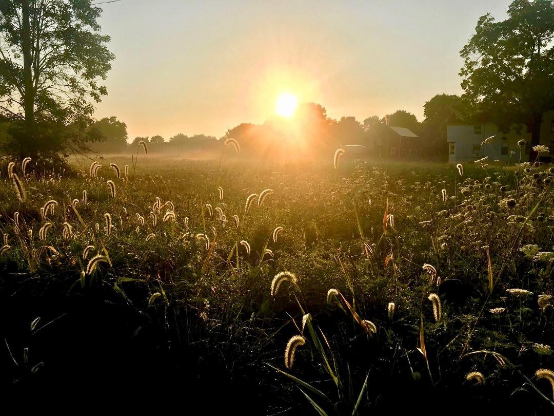 Summer Sunrise.