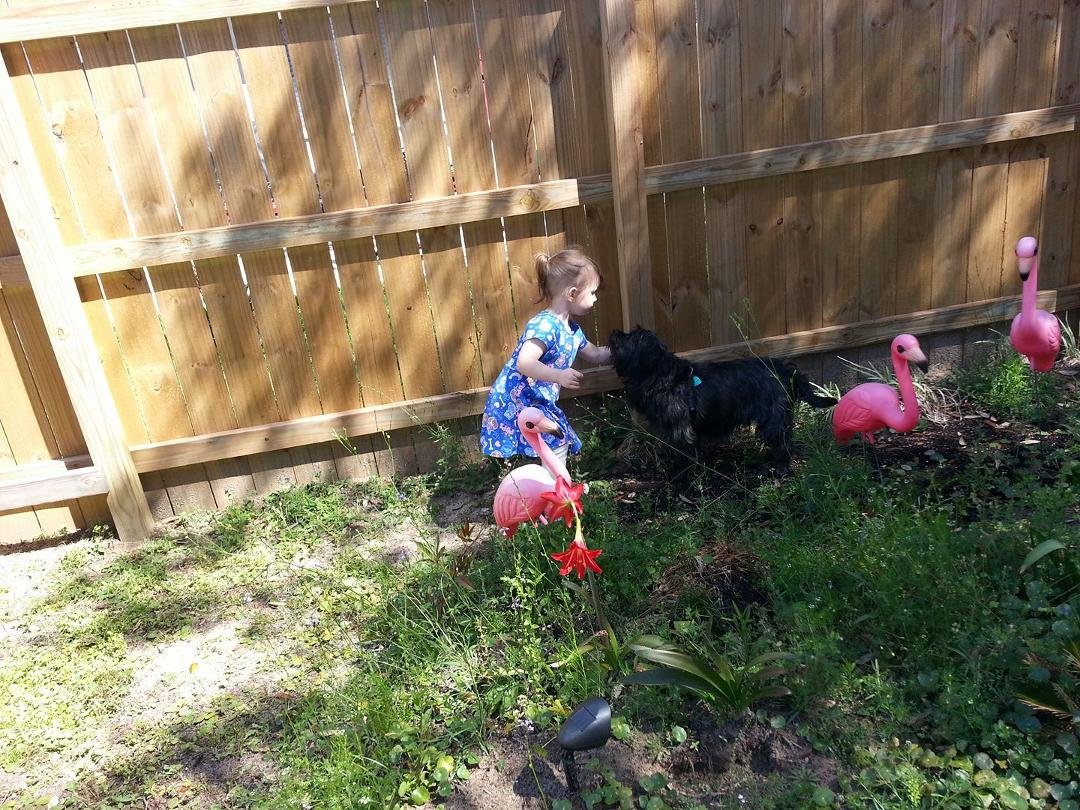 Ellaina and Amos and the flamingos.