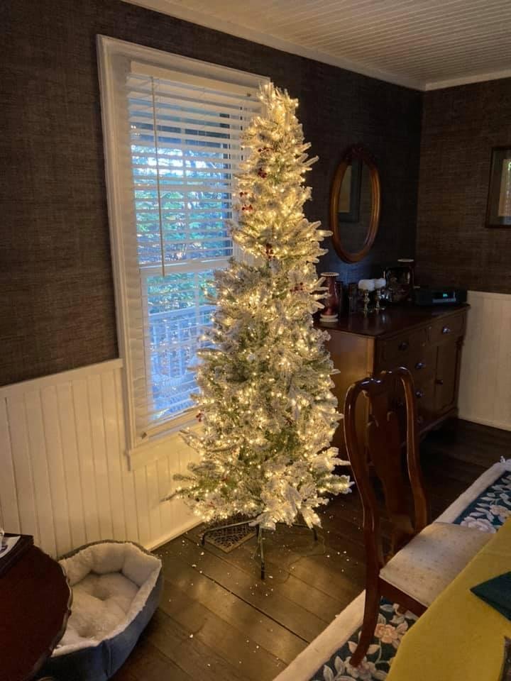 Tree’s up...