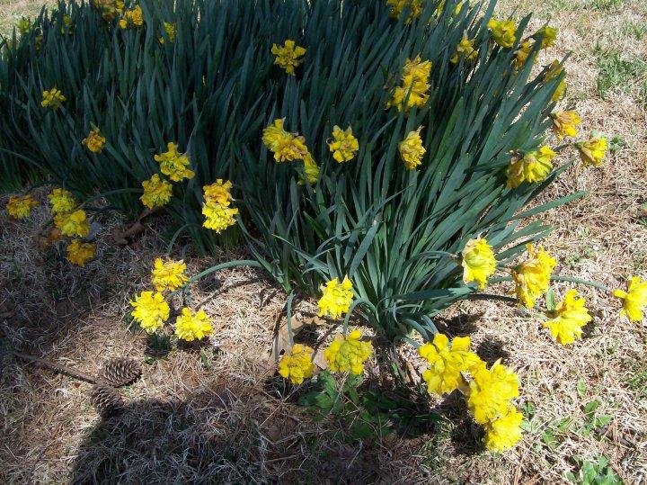Jim Anderson's album, Timeline photos