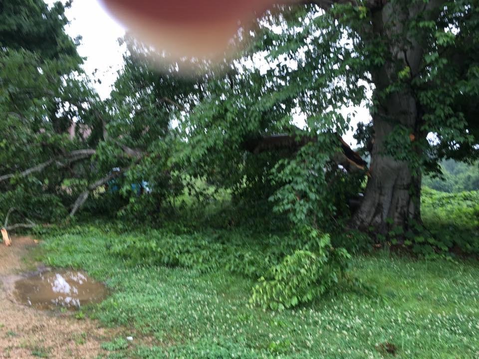 Glad it didn't hit any car !!!!